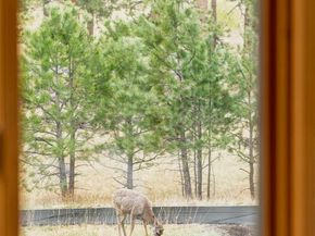 2290 Juniper Court, Golden CO 80401