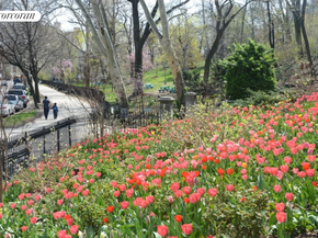 250 Manhattan Avenue 1A, New York NY 10026