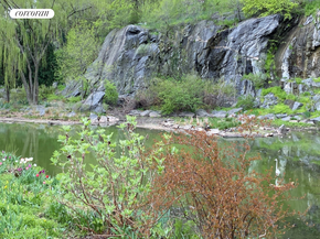 250 Manhattan Avenue 1A, New York NY 10026