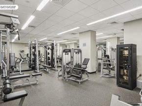 425 Main Street PH2E, New York NY 10044