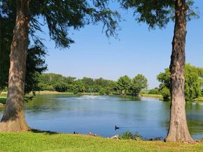 2901  Country Place Circle , Carrollton Texas 75006