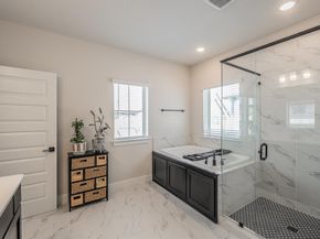 703  Canada Goose Lane , Arlington Texas 76005