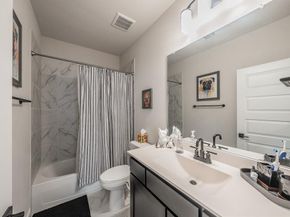 703  Canada Goose Lane , Arlington Texas 76005