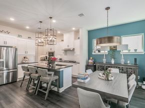 703  Canada Goose Lane , Arlington Texas 76005