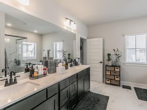 703  Canada Goose Lane , Arlington Texas 76005