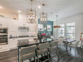 703  Canada Goose Lane , Arlington Texas 76005