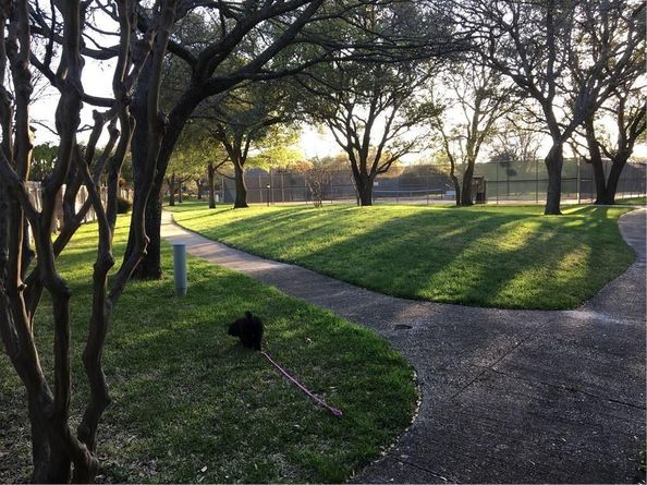 15708  Ranchita Drive , Dallas Texas 75248