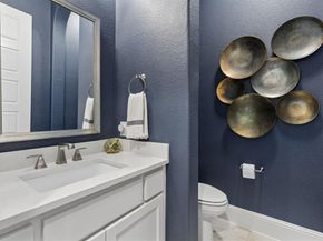 4301  Porosa Lane , Prosper Texas 75078