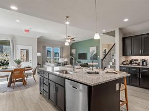 11309  TREEHOUSE Trail , Justin Texas 76247