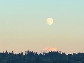 320 Washington Avenue 602, Bremerton WA 98337