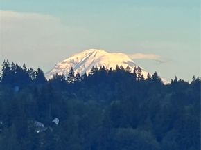 320 Washington Avenue 602, Bremerton WA 98337