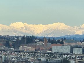 559 McGraw Street 402, Seattle WA 98109