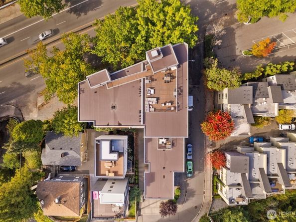 559 McGraw Street 402, Seattle WA 98109
