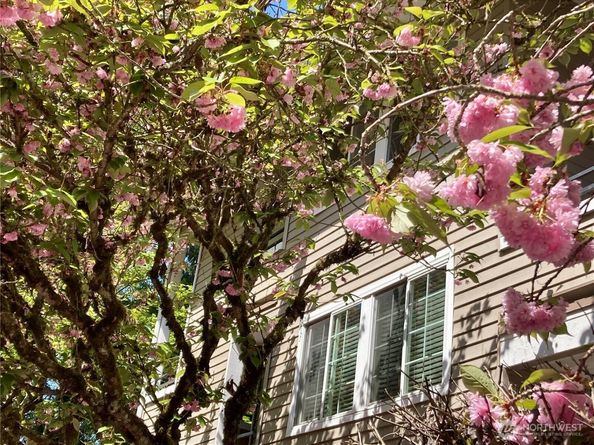 9822 NE 122nd Street U201, Kirkland WA 98034