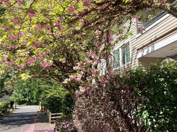 9822 NE 122nd Street