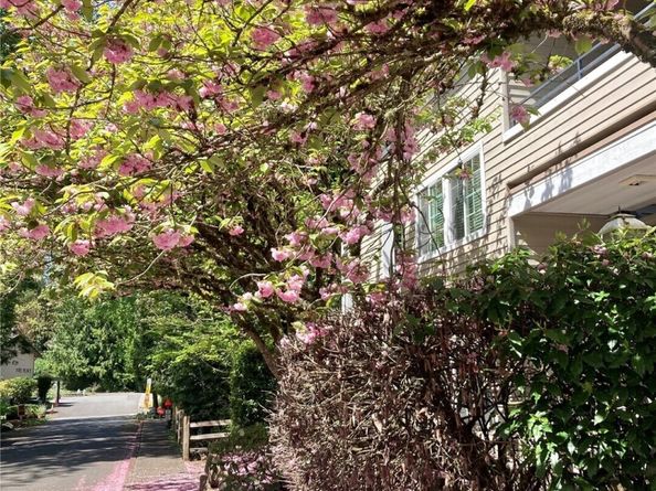 9822 NE 122nd Street U201, Kirkland WA 98034