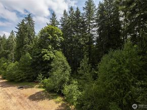 24239 NE 130th Place, Redmond WA 98053