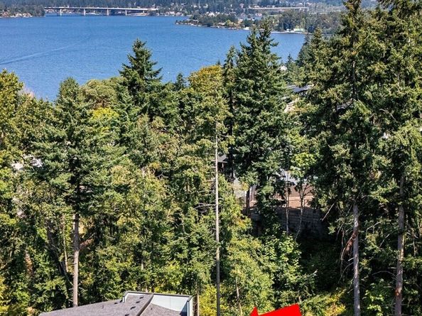11030 NE 60th Lane, Bellevue WA 98006