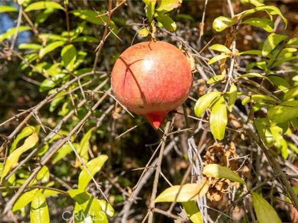 7419 Kraft, North Hollywood (los Angeles) CA 91605