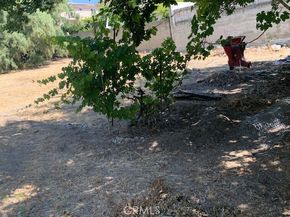 10520 Hillhaven Avenue, Tujunga (los Angeles) CA 91042