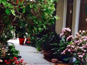 1329 S Saltair, West Los Angeles (los Angeles) CA 90025