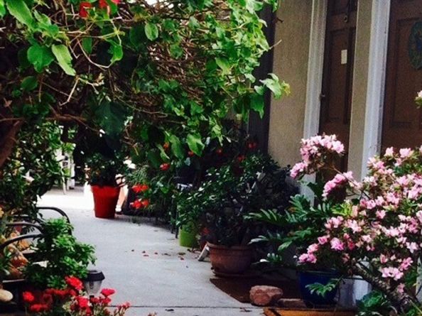 1329 S Saltair, West Los Angeles (los Angeles) CA 90025