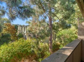 8441 Via Mallorca 76, La Jolla (san Diego) CA 92037