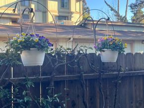 302 Ash Ln, El Sobrante CA 94803