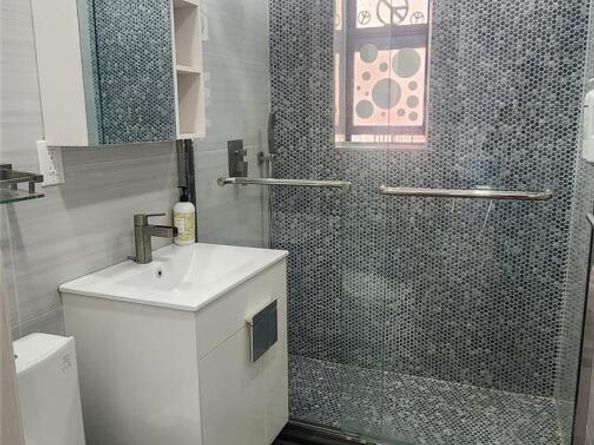 141-60 84RD 6A, Briarwood NY 11435