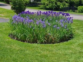 134 Dalmeny Road, Briarcliff Manor NY 10510