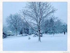 17 Ritas Court, Jamesport NY 11947