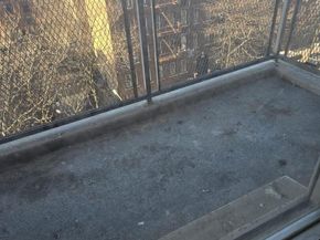 2550 Olinville Avenue 7E, Bronx NY 10467