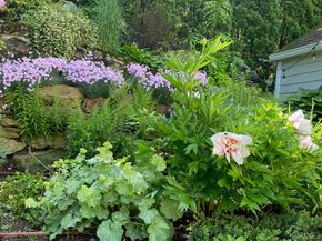 22 Ferncliff Road, Scarsdale NY 10583