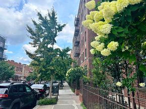 1710 Carroll Street D5, Brooklyn NY 11213