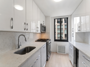 407 Park Avenue S 17A, New York NY 10016