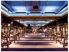 393 West 49th Street THF, New York NY 10019