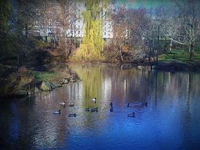 467 Central Park W 11A, New York NY 10025