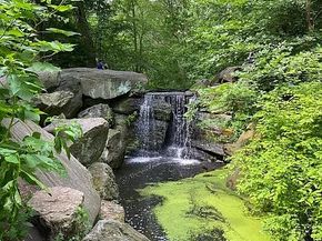 467 Central Park W 11A, New York NY 10025