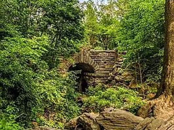 467 Central Park W 11A, New York NY 10025