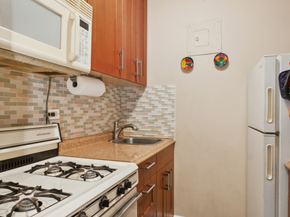 39-60 54th Street B3, Queens NY 11377