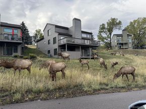 23624 Pondview Place G, Golden CO 80401