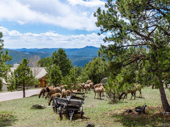 23624 Pondview Place G, Golden CO 80401