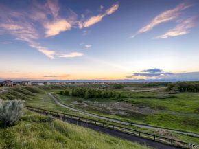 2958 Alton Court, Denver CO 80238