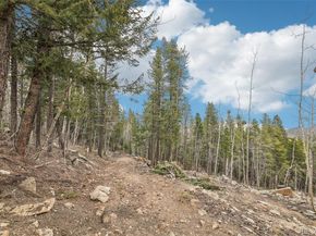 11390 Shimley Road, Golden CO 80403