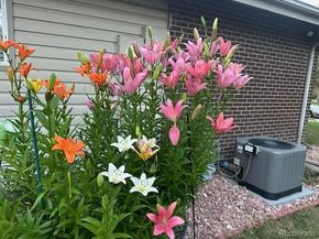 3225 S Garrison Street 51, Lakewood CO 80227