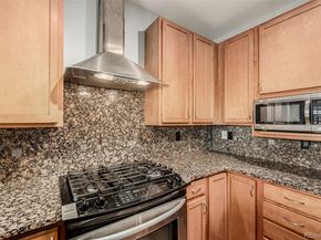 1313 S Clarkson Street 305, Denver CO 80210