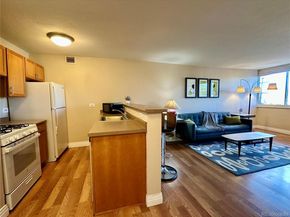1196 N Grant Street 407, Denver CO 80203