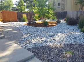 2446 Scott Court, Longmont CO 80501