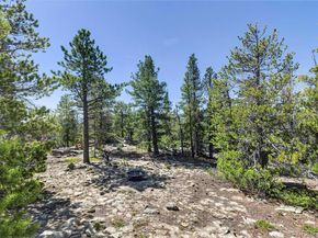 34028 Lyttle Dowdle Drive, Golden CO 80403