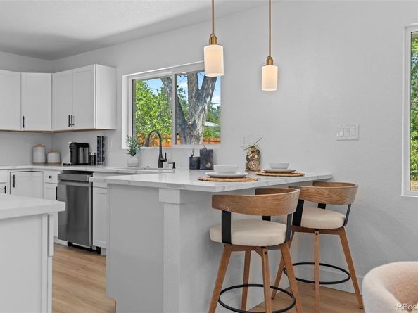 2994 S Raleigh Street, Denver CO 80236